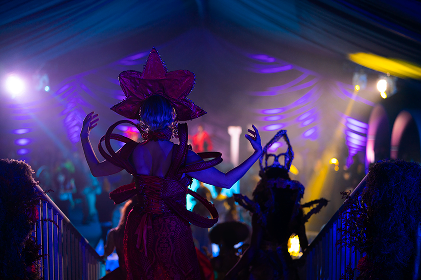 Luxury Party Planner